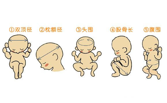 孕28周后,每次做产检,孕妈都要记得问这三个问题,很重要|产检|胎儿