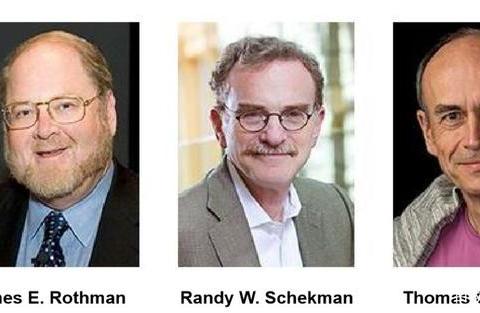 诺贝尔医学奖与囊泡的发现故事|Cell|细胞|细胞膜|囊状|物质_新浪新闻