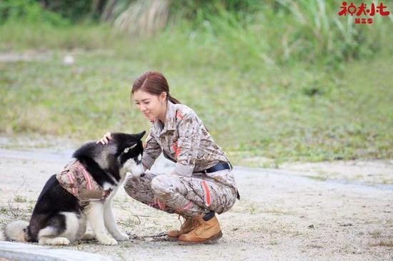 《神犬小七3》迎收官 宋妍霏用表演致敬特殊行业人群