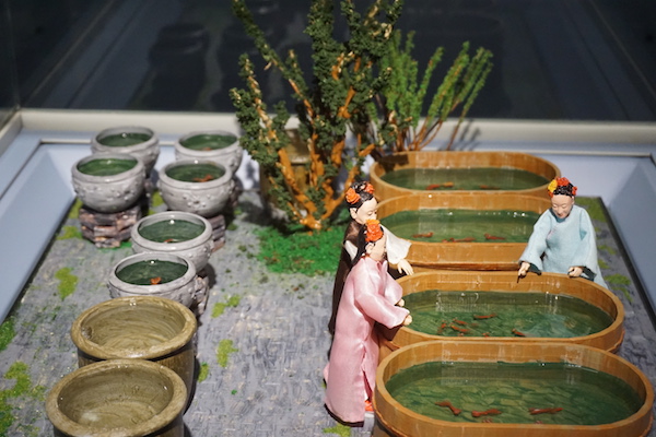 瑾妃观鱼 老照片鼎盛时期曾有279个宫廷金鱼品种争奇斗艳,异彩纷呈.