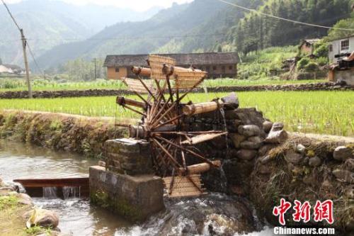 资料图：农民用水车灌溉稻田。朱孝荣 摄
