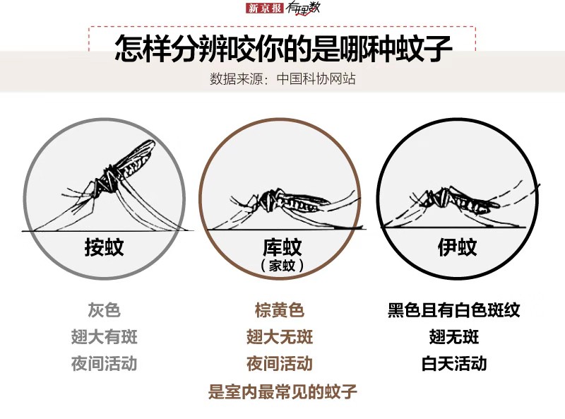 一百多斤的人了连只蚊子都喂不饱吗