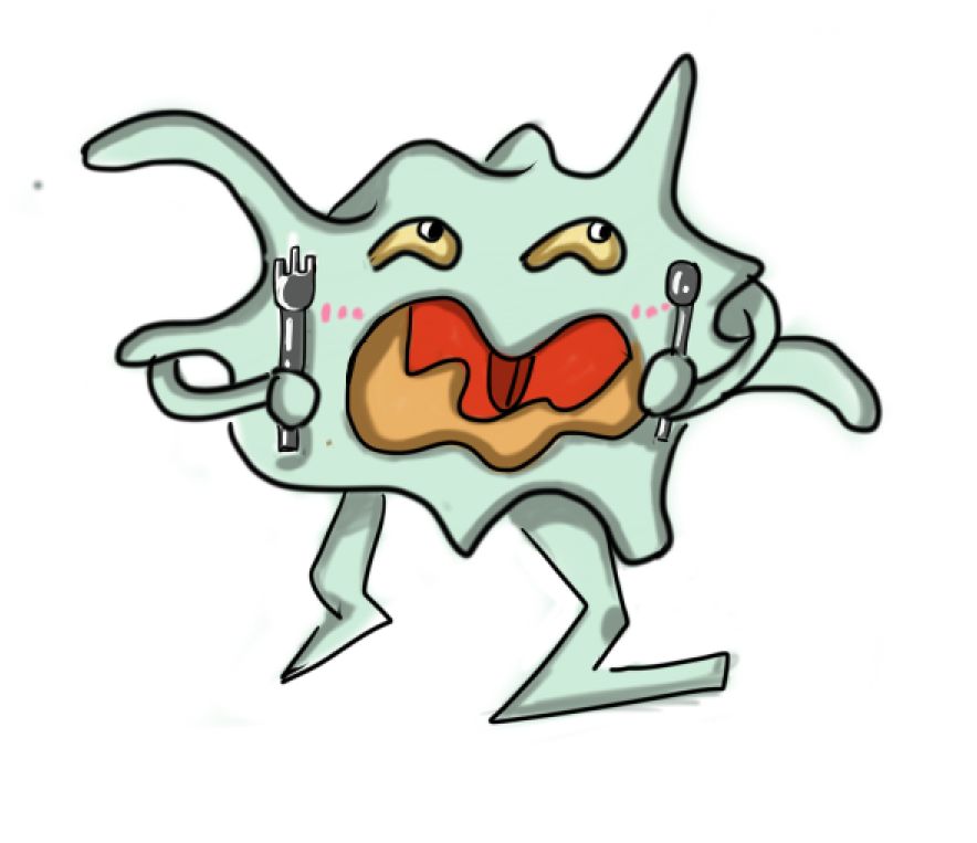 "可爱到爆"的巨噬细胞—3