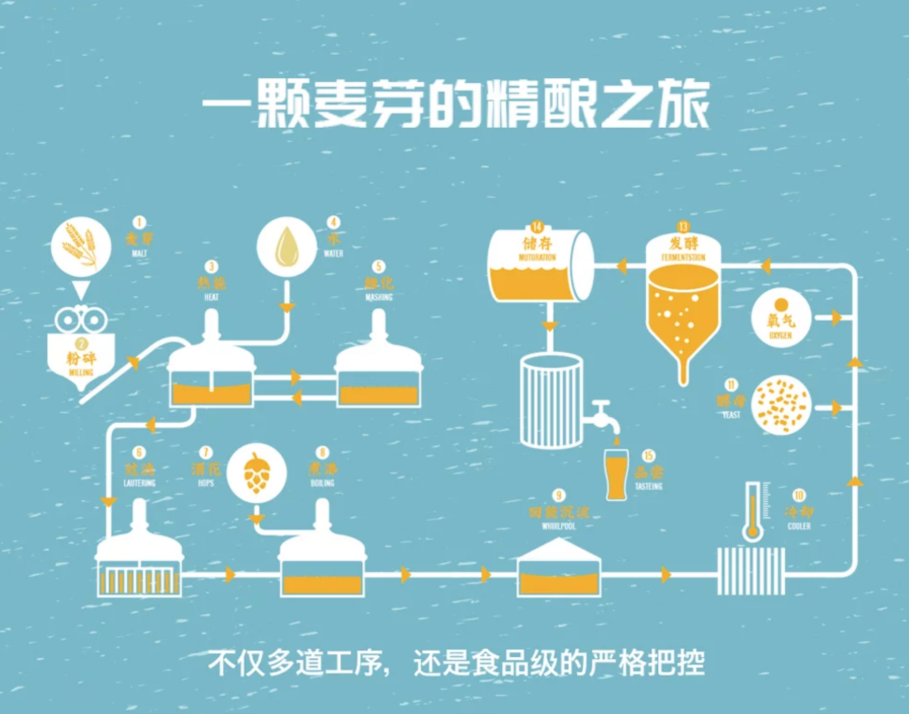 生活创想计划 | 一款专为年轻人设计的精酿啤酒,到底具备哪些特质?