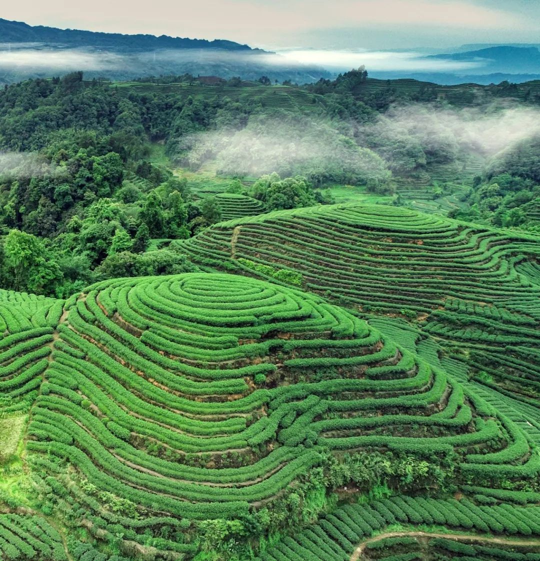 宋朝四川gdp_宋朝四川地图全图(3)