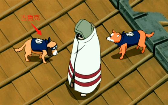 布鲁体型最大,最可爱的却打击到小樱