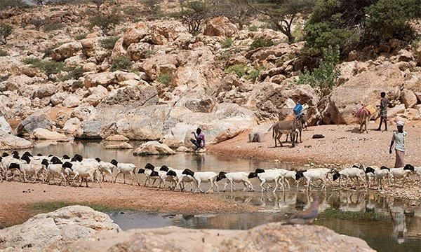 世界十大弱国排行榜!中非、索马里上榜,第四只