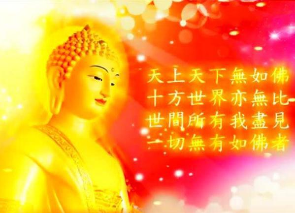 但是由于释迦牟尼佛却凭着大精进,和七天七夜的一首赞佛偈,"天上天下