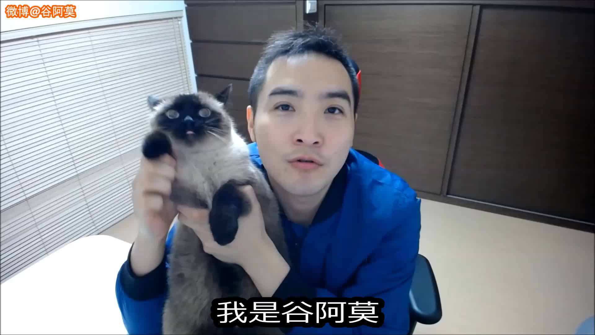 诉谷阿莫侵权 该如何界定二次创作