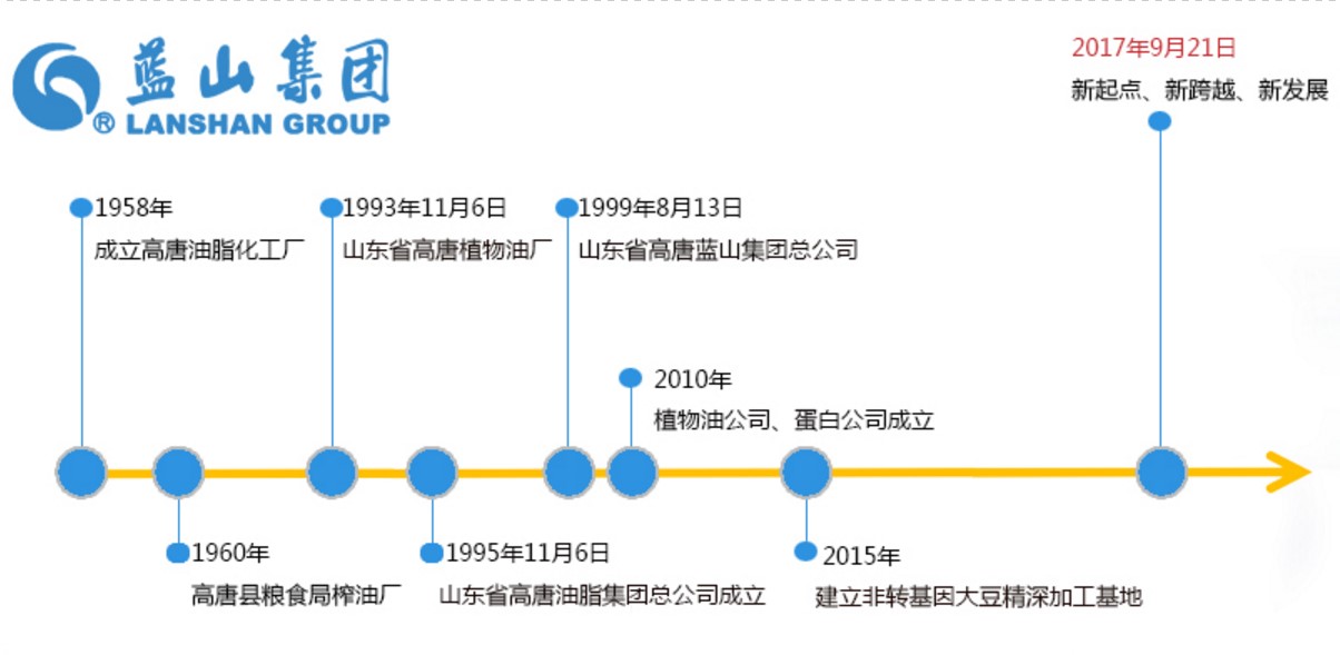 蓝山集团发展历程。           图/蓝山集团网站