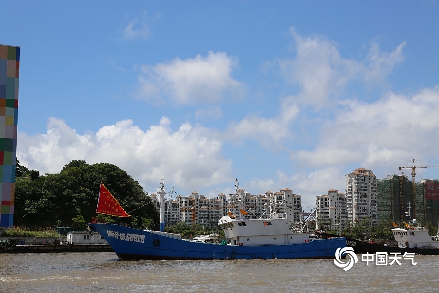 禁渔期结束浙江舟山蓝天白云千帆待发