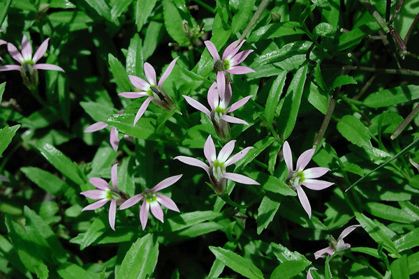 这些方法你这掌握了吗