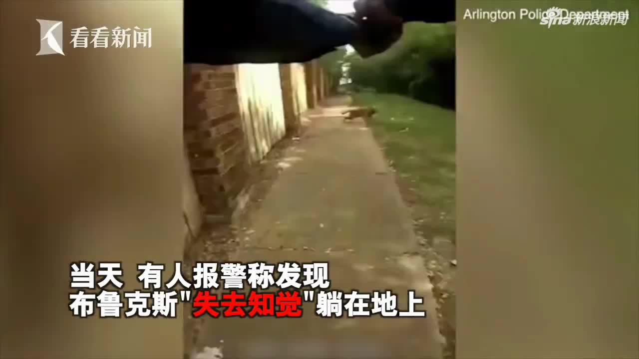 狗社区:美国警察连开3打疯狗 结果躺地上的狗主人被杀