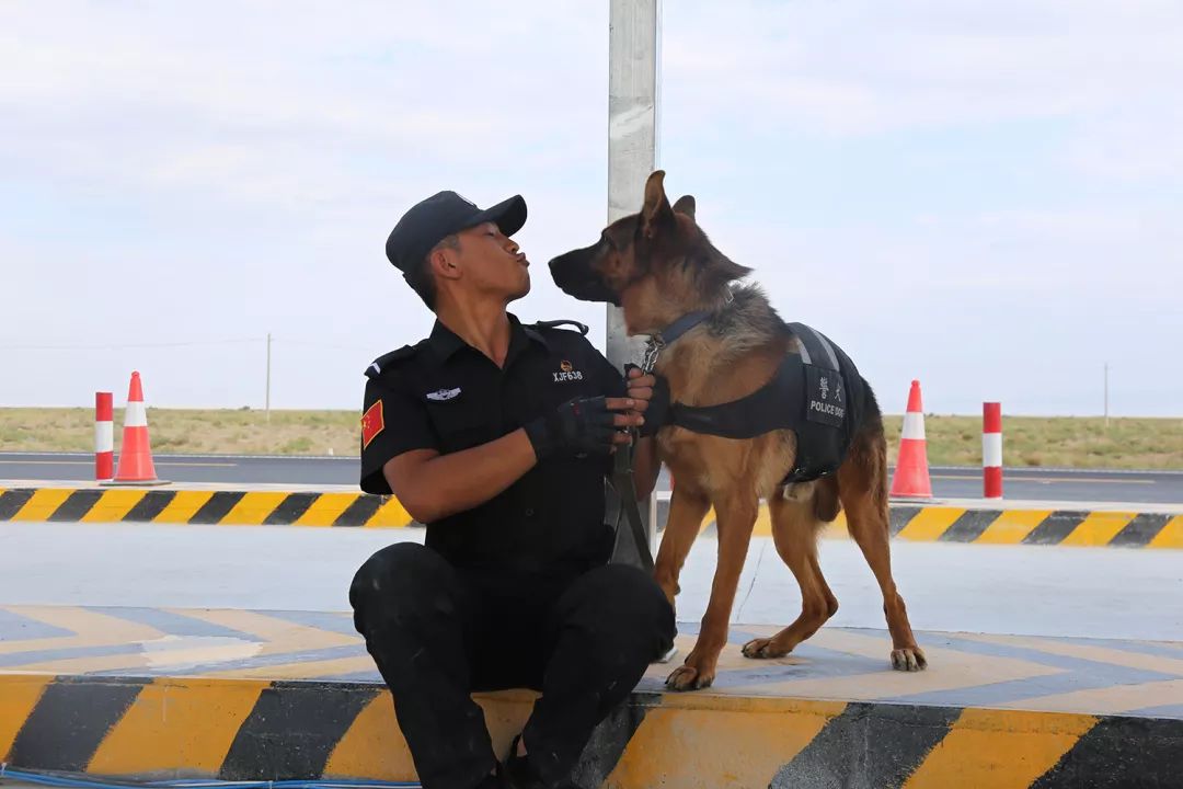快来看酷酷的警察小哥哥与帅气警犬的日常