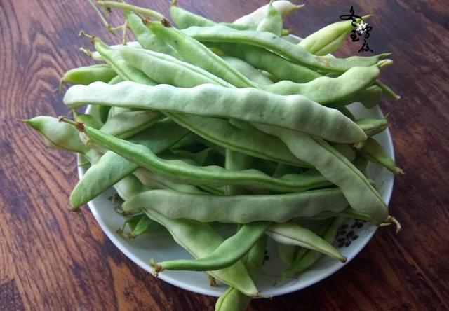 東北的油豆角, 你吃過幾種? 你知道都叫什麼名字嗎?