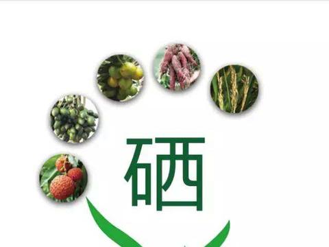都说全民补硒，补硒是补哪种硒？|有机硒|硒酸|甲基_新浪新闻