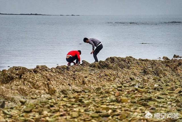 黄骅赶海当然的去黄骅港了