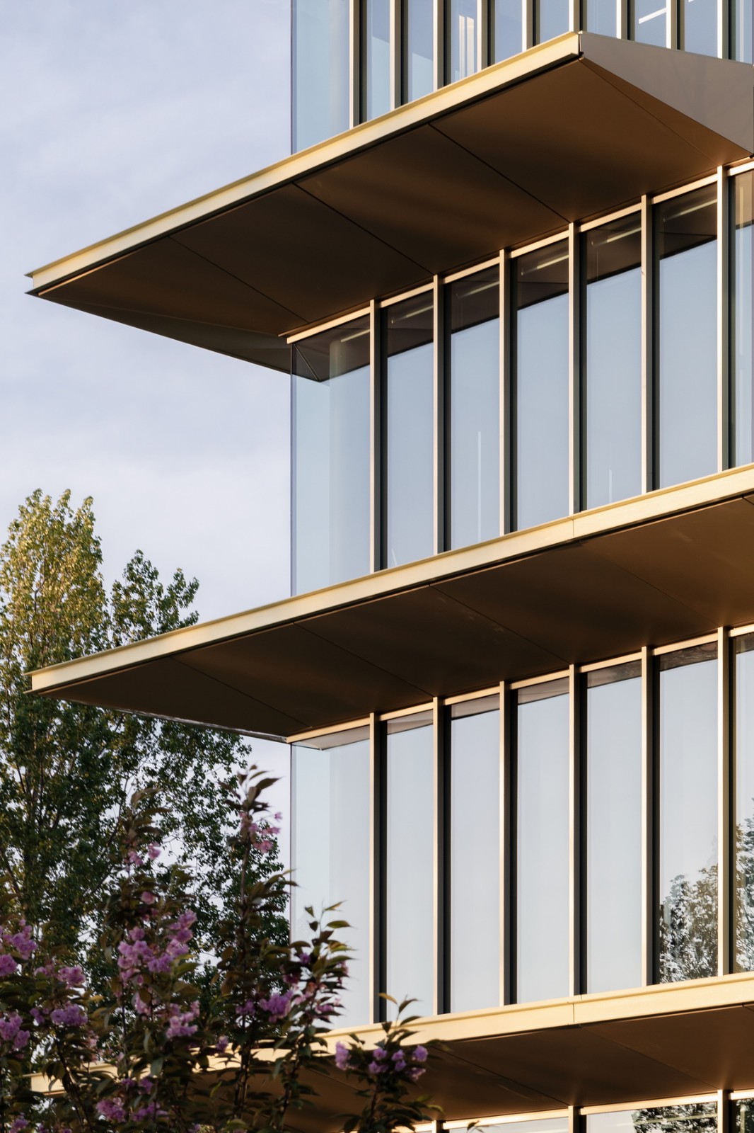 流畅简洁的悬挑屋檐与玻璃的结合运用:asics荷兰总部大楼 / power