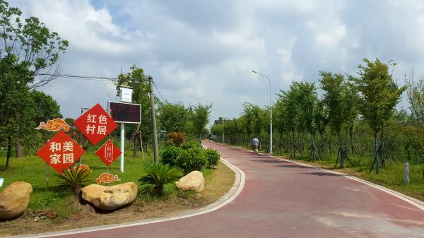 不忘初心牢记使命 有点美 沪今年将升级283公里农村公路 手机新浪网