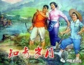 辛集范家庄公社的下乡知青青年志愿垦荒队的故事