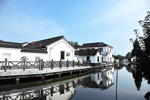 白墙青瓦江南味上海莲湖村打造属于自己的振兴模式