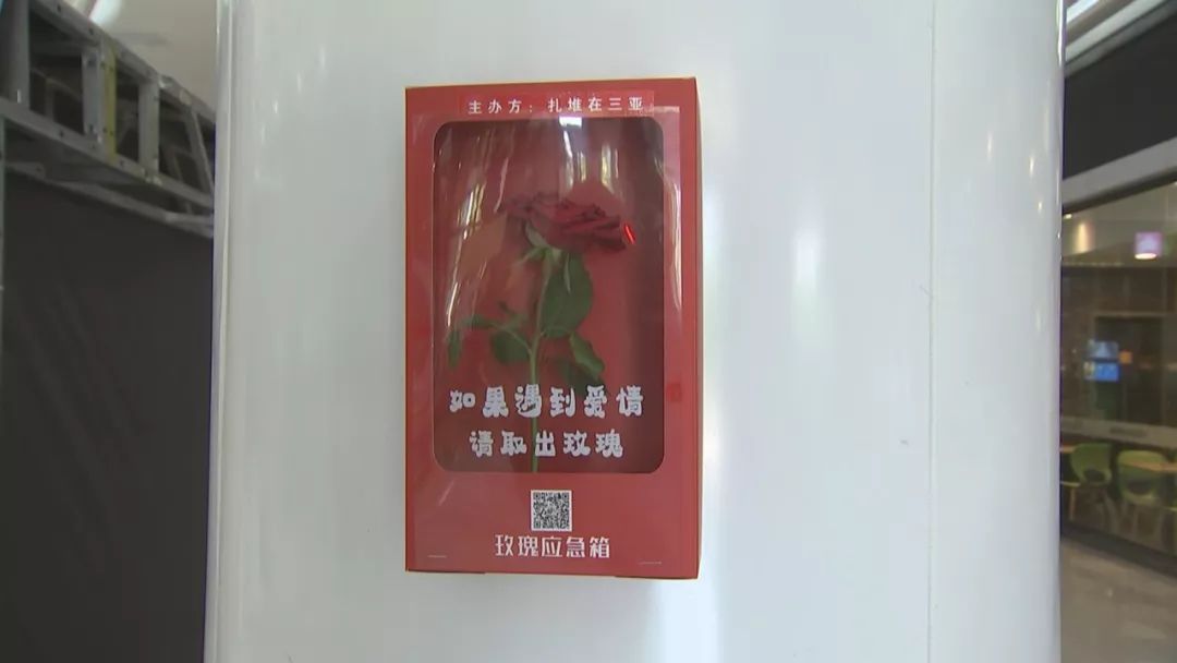 七夕玫瑰应急箱现三亚街头增添城市浪漫气息