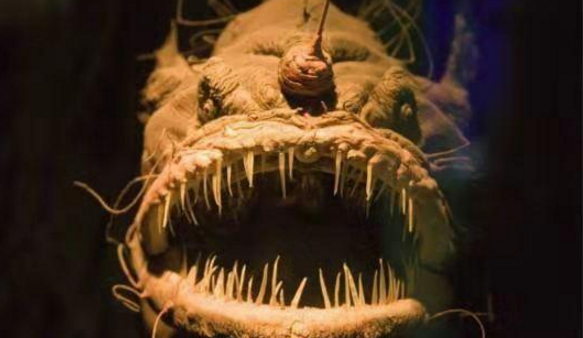 英国肯维岛惊现水怪尸体眼睛巨大直立行走官方解释含糊不清