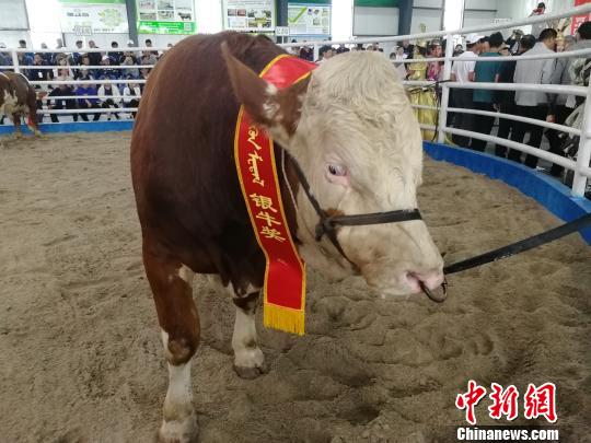 位于锡林郭勒盟东北部,大兴安岭中段西麓,地处锡林郭勒盟,兴安盟,通辽