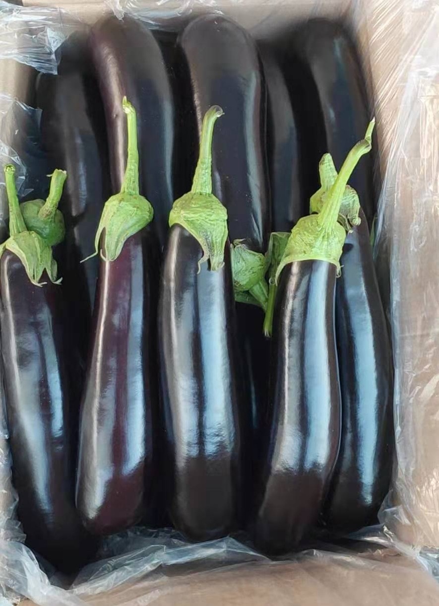 茄子最好是拌着吃,像是年轻人,肠胃比较好的人可以凉拌,而老人,孩子和