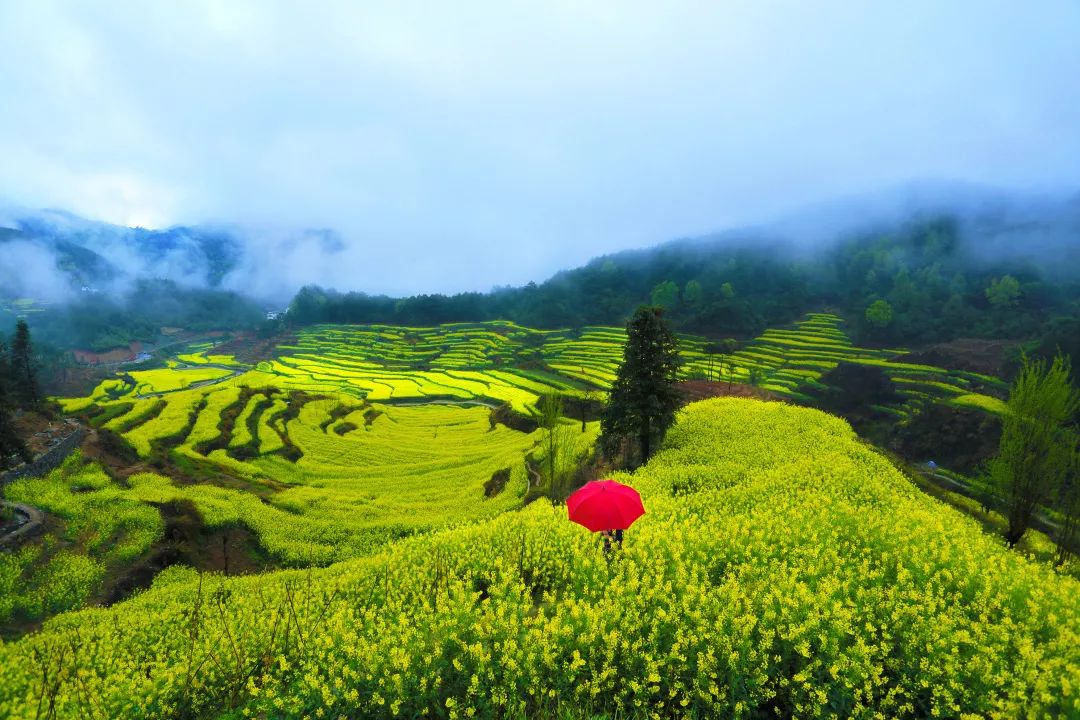 视觉中国&500px与黄山市摄影家协会达成战略合作!