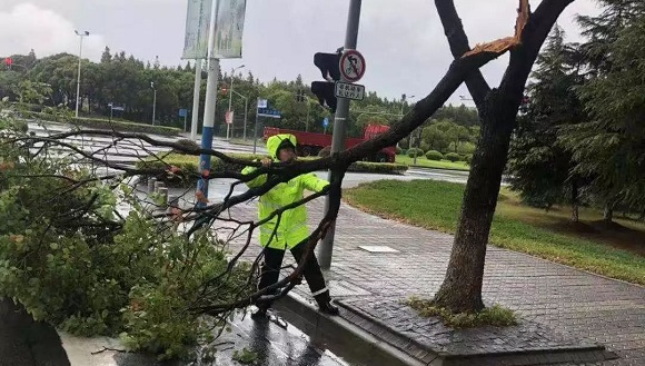 利奇马逼近上海全面进入台风临战状态