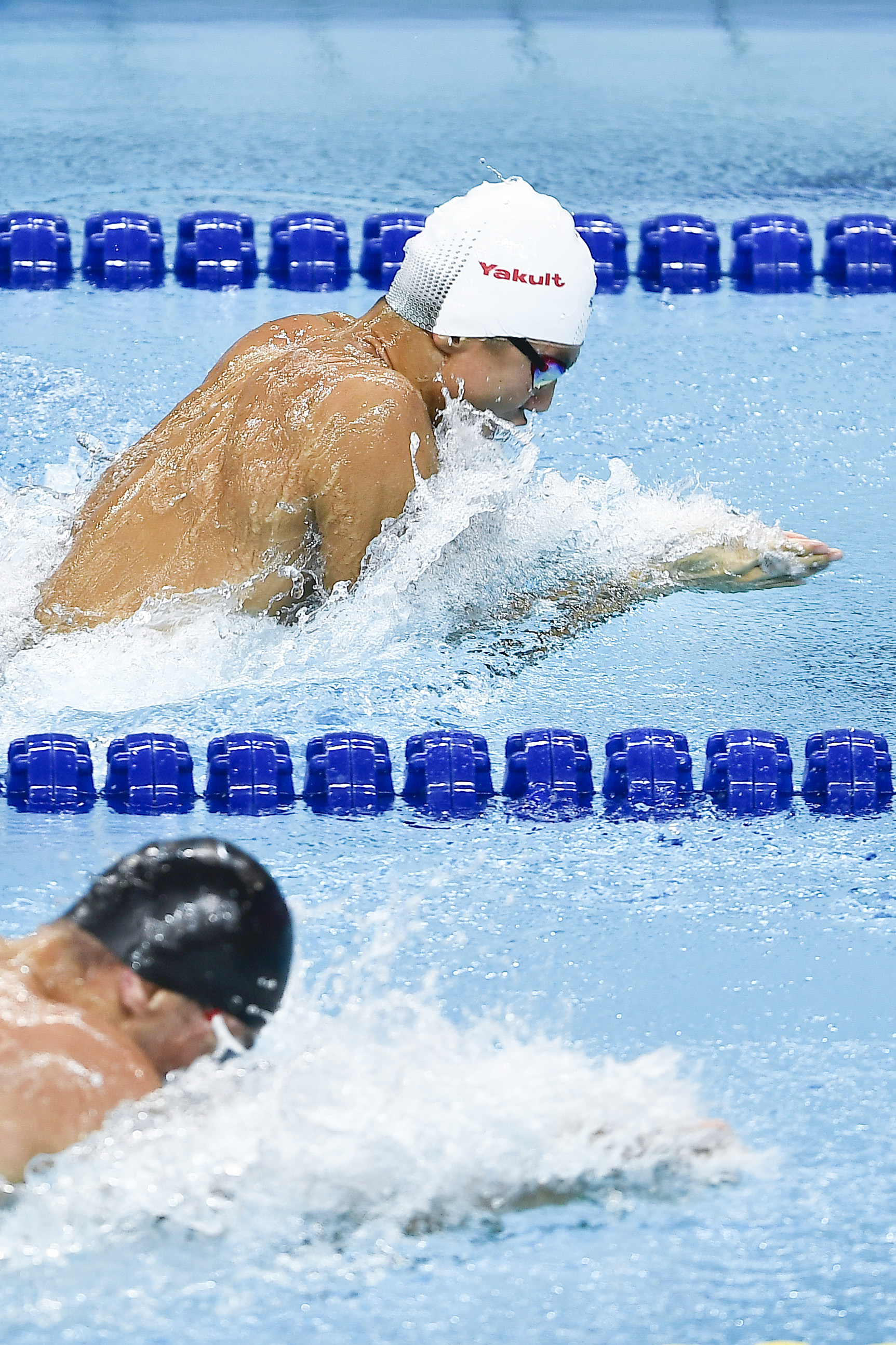 游泳世界杯闫子贝获男子50米蛙泳冠军