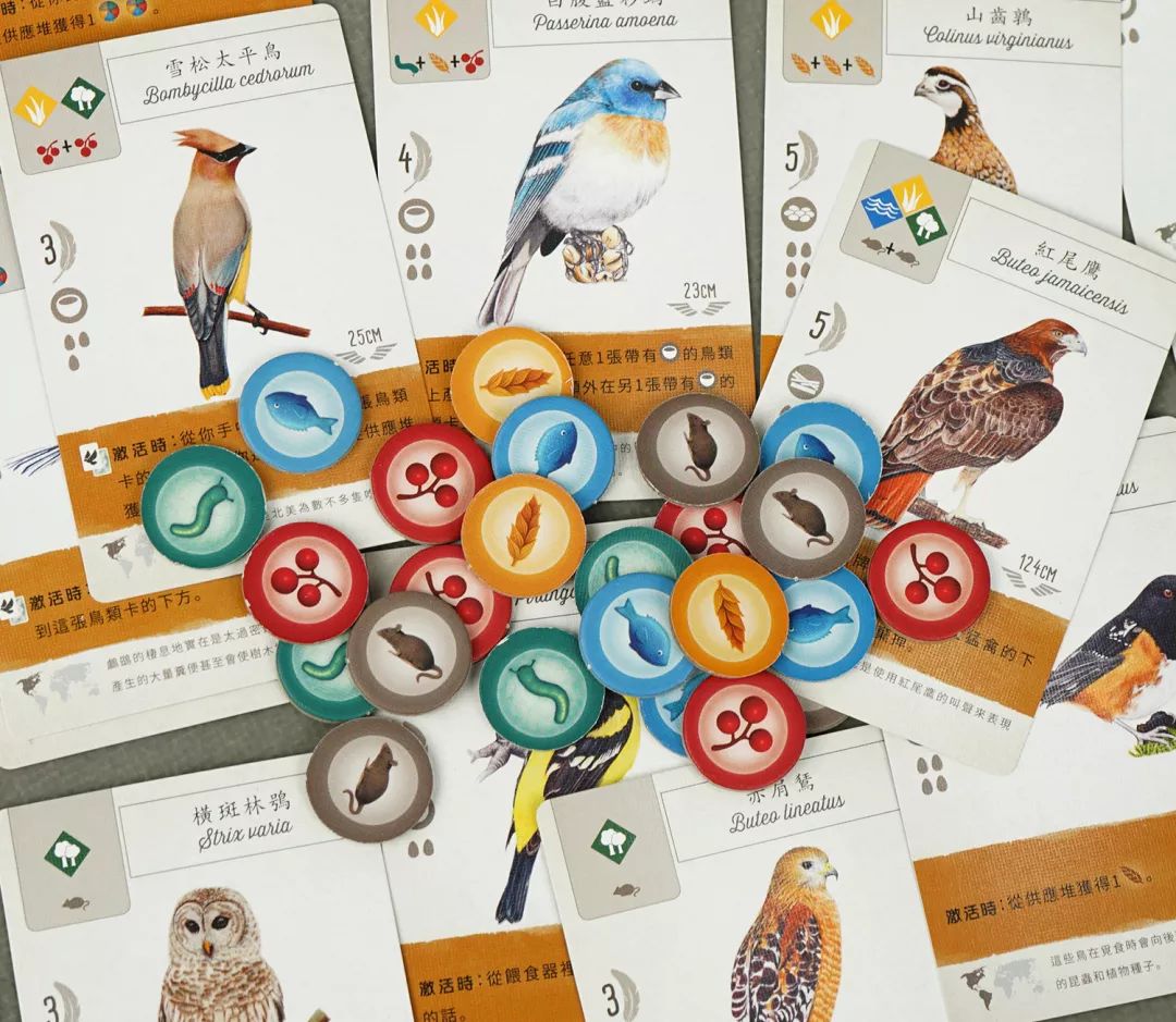 《展翅翱翔》没啥好吹的,也就拿了个"奥斯卡"吧丨好物推荐