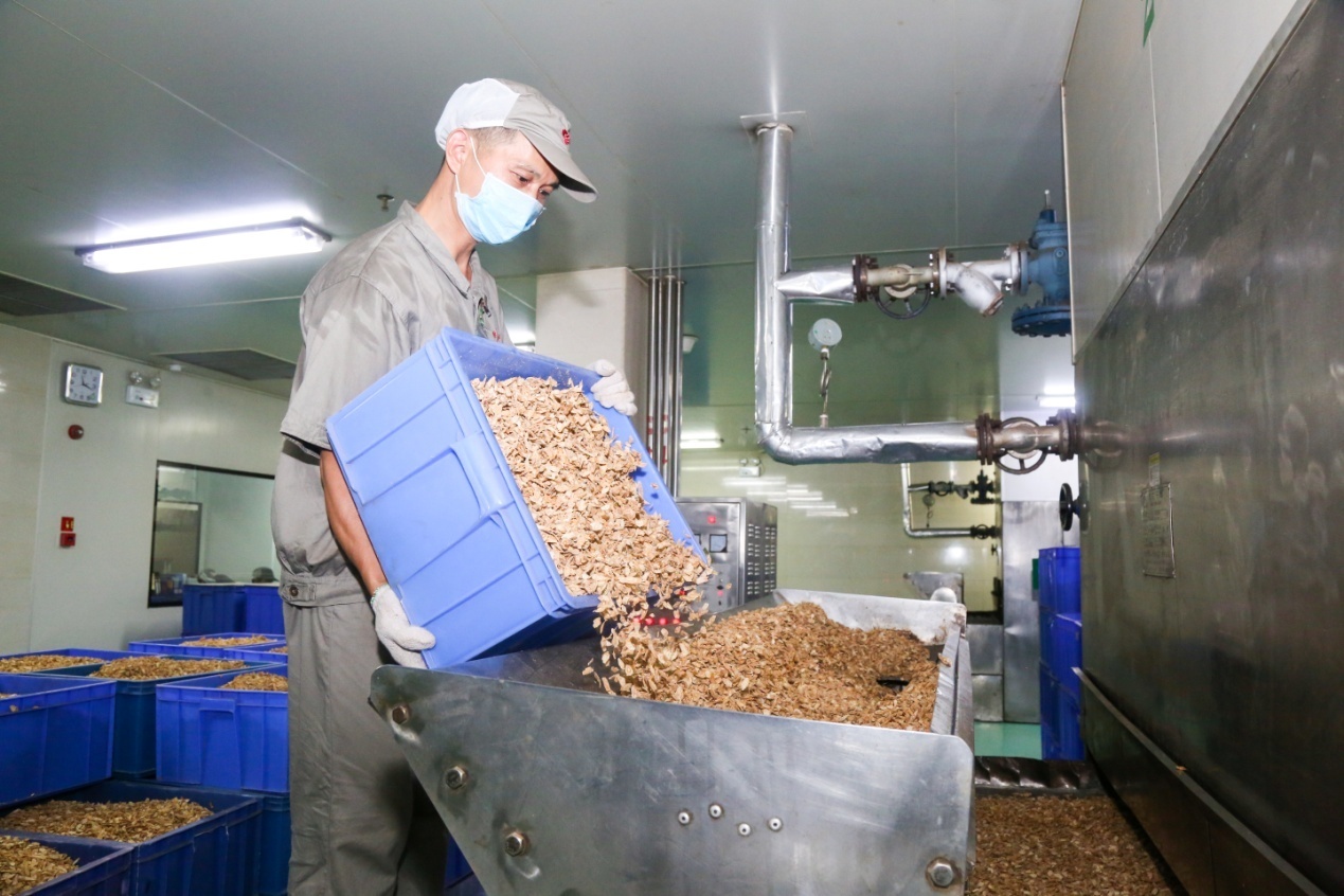 康美药业中药生产基地人的一天