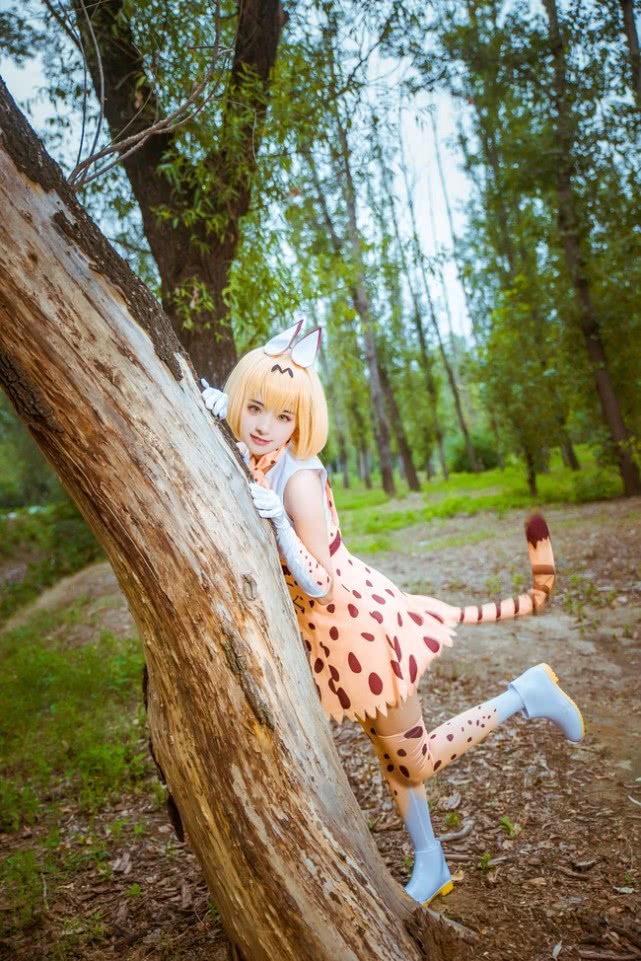 兽娘动物园薮猫cos:要陪我去森林里玩吗?我要抓知了