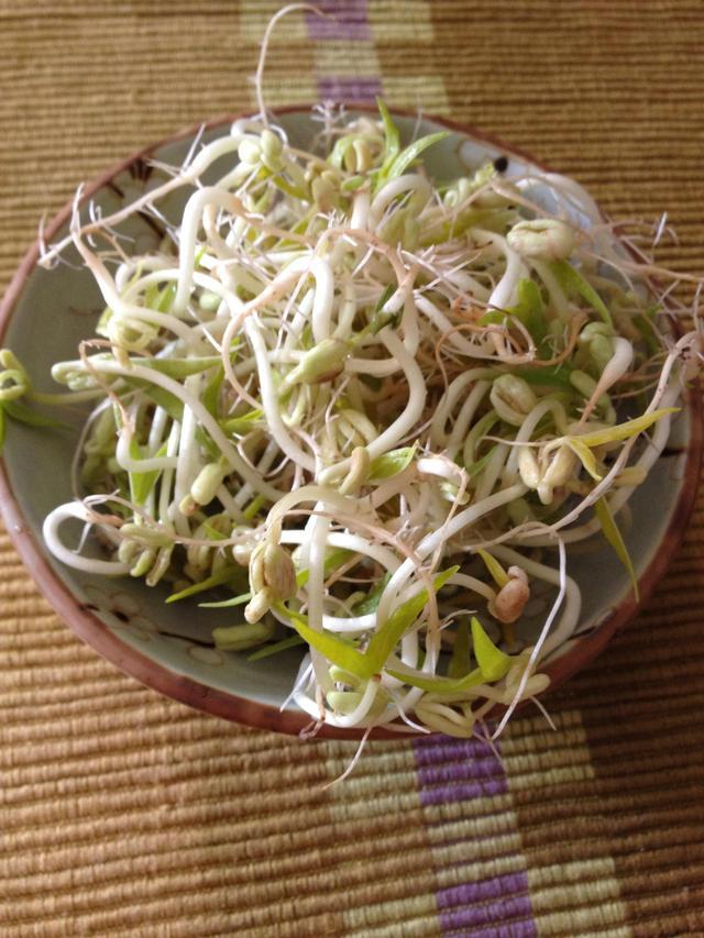 自发豆芽大火加热锅中剩余的红烧汁直至浓稠,然后将酱汁均匀浇在墨鱼