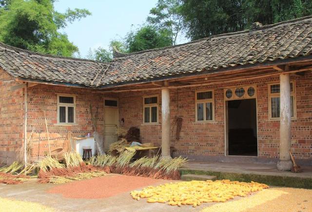 农村砖房后墙为啥不留窗户?听完专家讲,才知老一辈太智慧