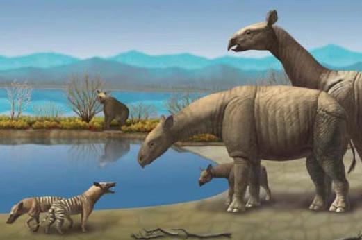 巨犀长这么大有用吗,难道就一傻大个?