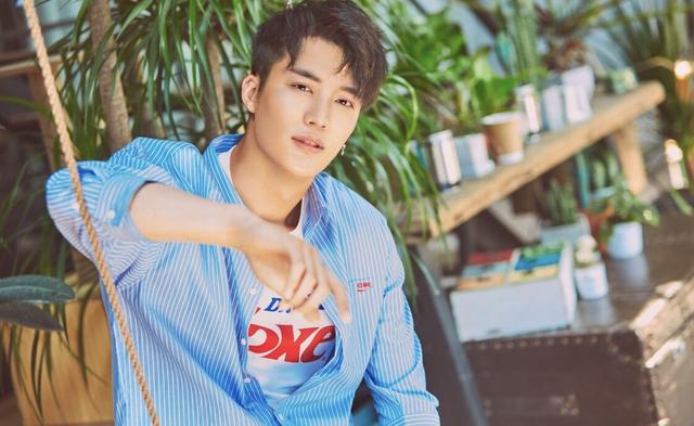 王燕阳:海上月是天上月,眼前人是"辛"上人