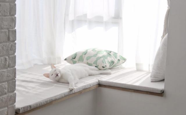 家里的飘窗可别荒废，学聪明人做个小改造，太温馨实用了！巧妙