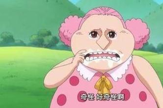 海贼王:玲玲失忆是否能记起从前?