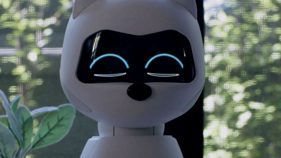 懂你心情的萌宠,面部识别情绪,自强化技能,和主人一起成长|机器人