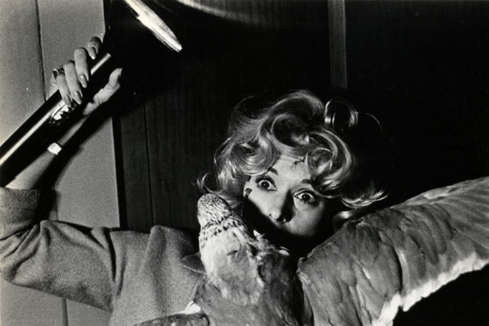 希区柯克诞辰120周年由群鸟引发的恐鸟症