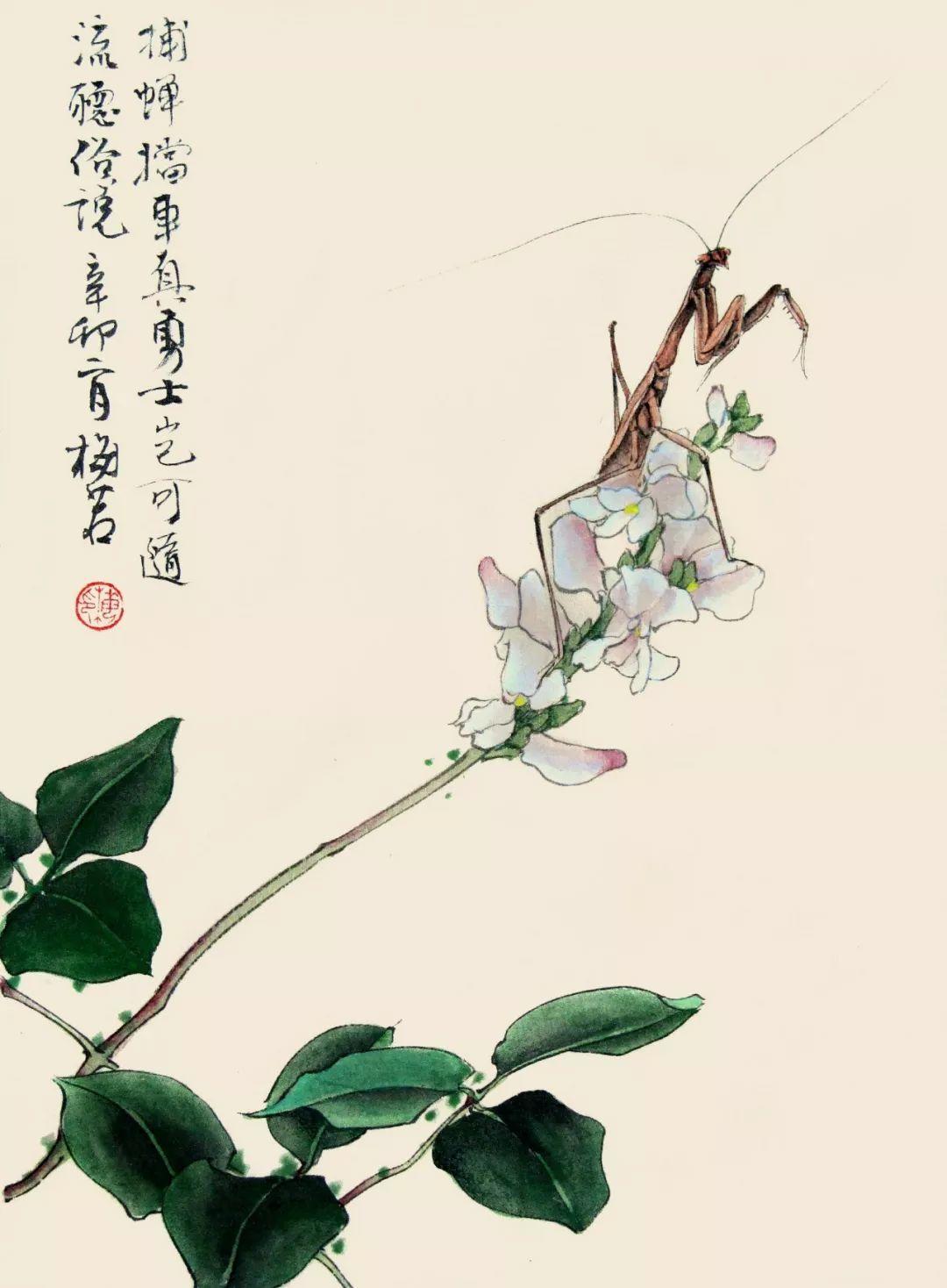 他笔下的工笔草虫自然恬淡,活泼灵动