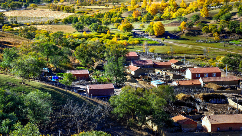 一县一品公益助农,河北围场特色农产品胡萝卜
