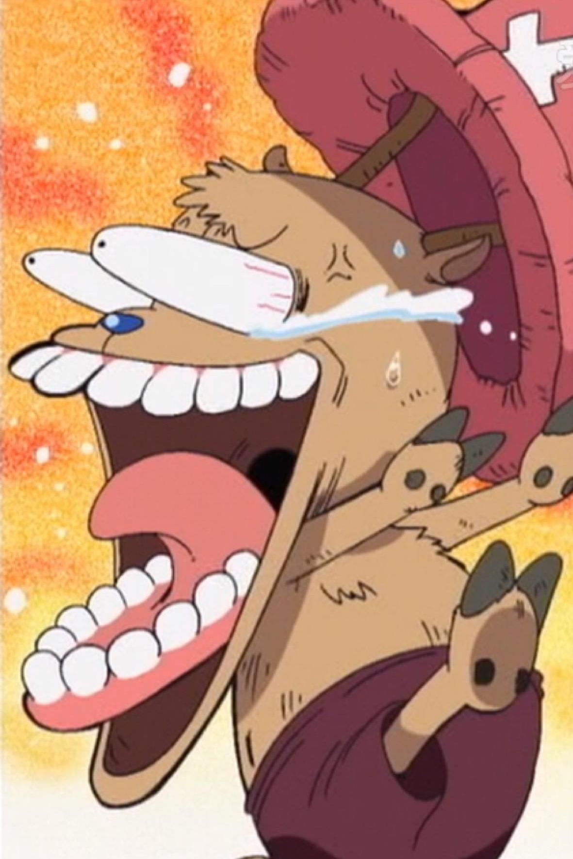 海贼王,乔巴暴走形态硬接大妈全力一击不落下风,具备皇副实力?