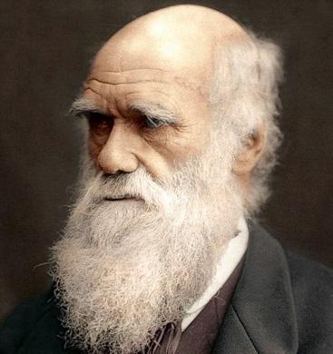 达尔文|家长|言行_新浪新闻