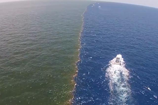 太平洋和大西洋美丽的分界线海水不能融合什么原因导致的