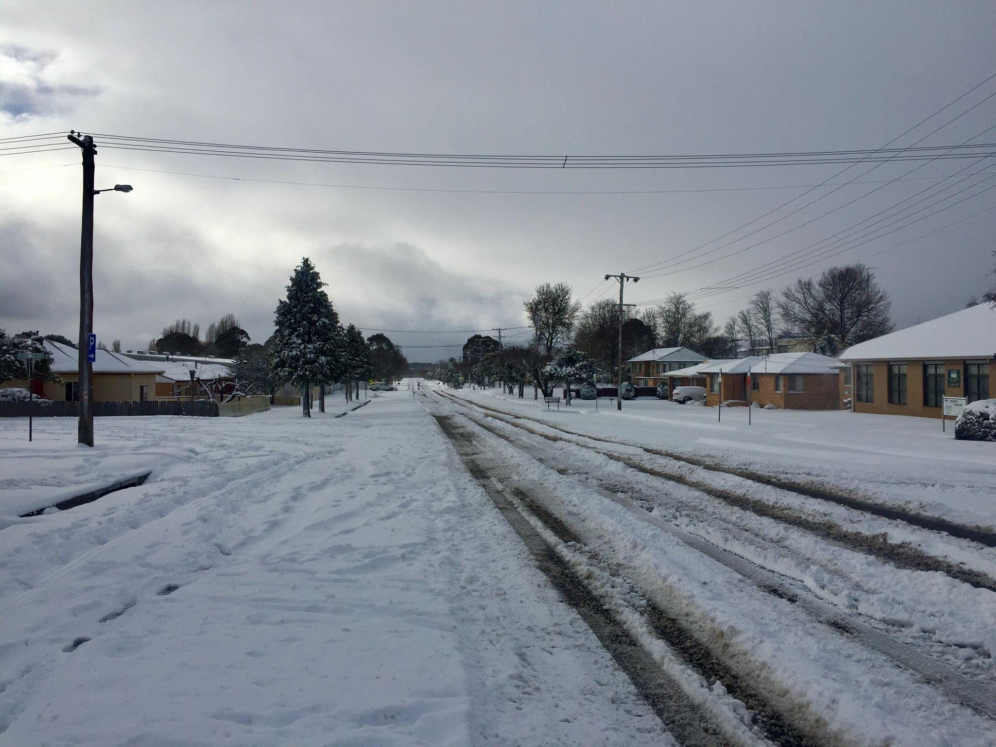 全球气候真变了澳大利亚现本世纪最强暴风雪袋鼠在雪上撒欢