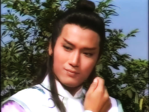 来猜一猜,下面图片中哪一张不是苗侨伟在射雕中杨康的造型